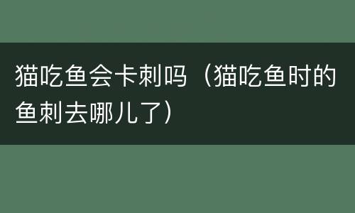 猫吃鱼会卡刺吗（猫吃鱼时的鱼刺去哪儿了）