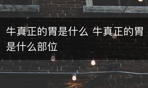 牛真正的胃是什么 牛真正的胃是什么部位