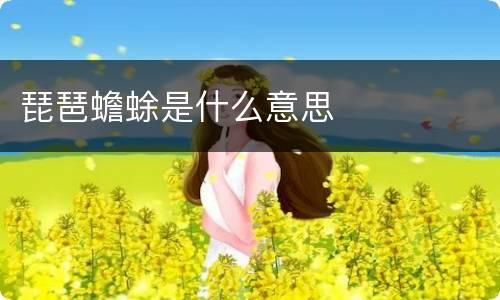 琵琶蟾蜍是什么意思