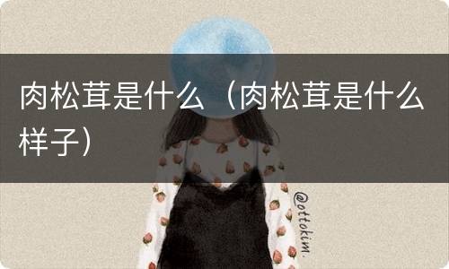 肉松茸是什么（肉松茸是什么样子）
