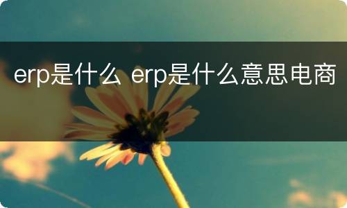 erp是什么 erp是什么意思电商