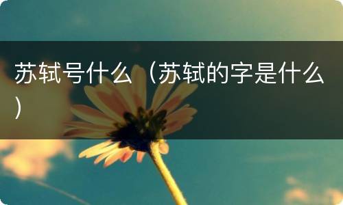 苏轼号什么（苏轼的字是什么）