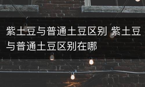紫土豆与普通土豆区别 紫土豆与普通土豆区别在哪