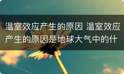 温室效应产生的原因 温室效应产生的原因是地球大气中的什么