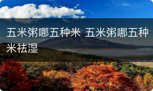 五米粥哪五种米 五米粥哪五种米祛湿