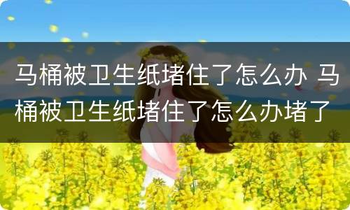 马桶被卫生纸堵住了怎么办 马桶被卫生纸堵住了怎么办堵了怎么办