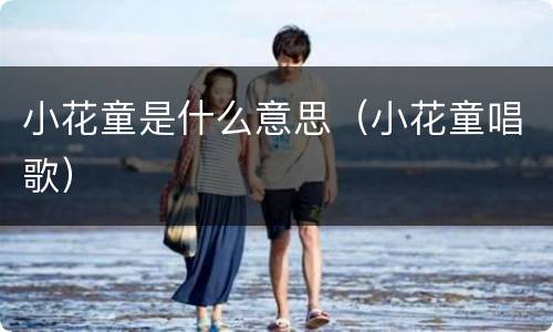 小花童是什么意思（小花童唱歌）