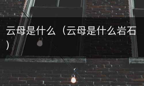 云母是什么（云母是什么岩石）