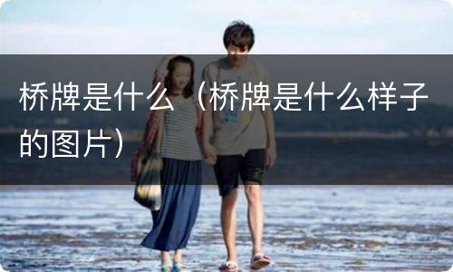 桥牌是什么（桥牌是什么样子的图片）