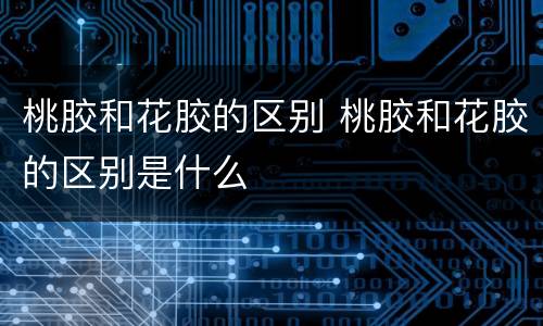 桃胶和花胶的区别 桃胶和花胶的区别是什么