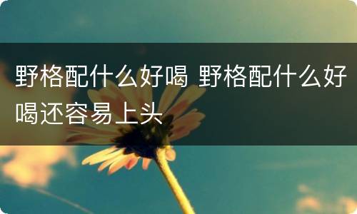 野格配什么好喝 野格配什么好喝还容易上头