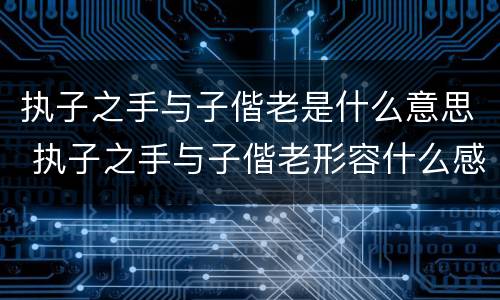 执子之手与子偕老是什么意思 执子之手与子偕老形容什么感情