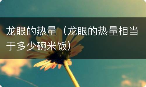 龙眼的热量（龙眼的热量相当于多少碗米饭）