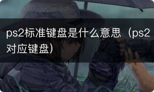 ps2标准键盘是什么意思（ps2对应键盘）