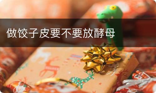 做饺子皮要不要放酵母