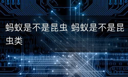 蚂蚁是不是昆虫 蚂蚁是不是昆虫类