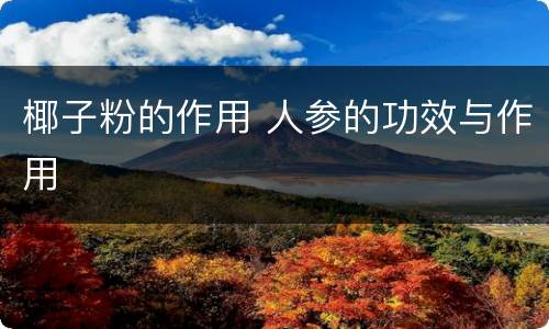 椰子粉的作用 人参的功效与作用