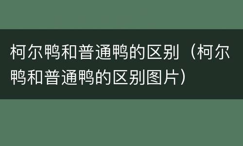 柯尔鸭和普通鸭的区别（柯尔鸭和普通鸭的区别图片）