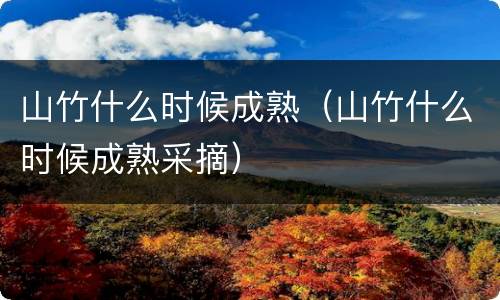 山竹什么时候成熟（山竹什么时候成熟采摘）