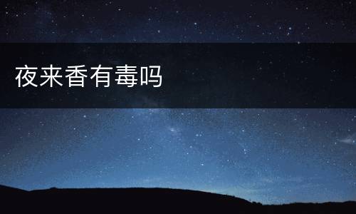 夜来香有毒吗