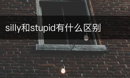 silly和stupid有什么区别