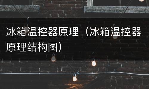 冰箱温控器原理（冰箱温控器原理结构图）