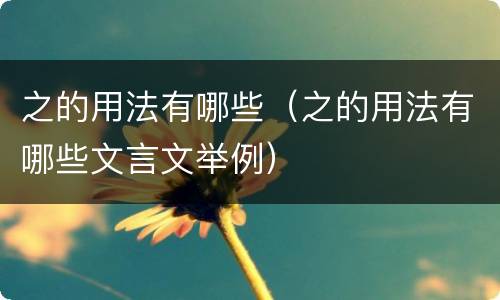 之的用法有哪些（之的用法有哪些文言文举例）