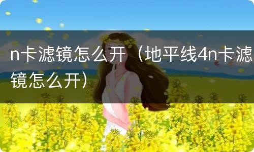 n卡滤镜怎么开（地平线4n卡滤镜怎么开）