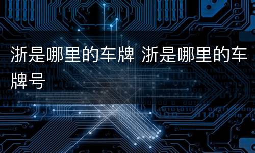 浙是哪里的车牌 浙是哪里的车牌号