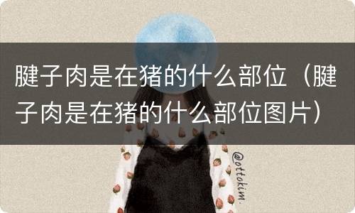 腱子肉是在猪的什么部位（腱子肉是在猪的什么部位图片）