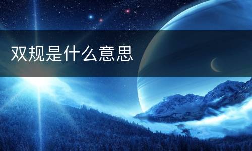 双规是什么意思