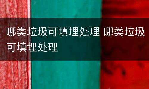 哪类垃圾可填埋处理 哪类垃圾可填埋处理