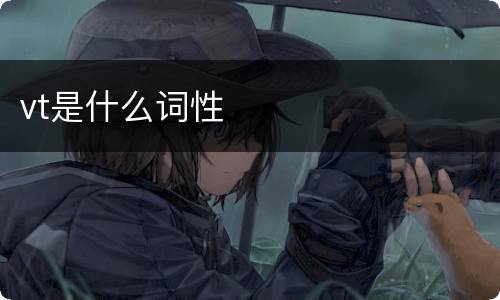vt是什么词性
