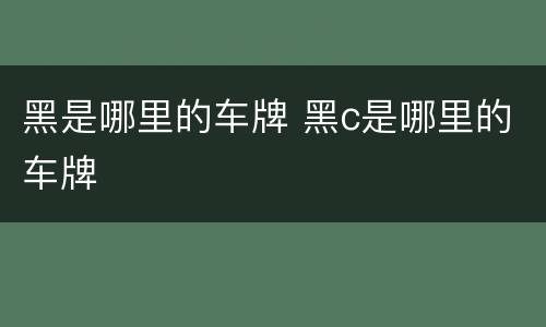 黑是哪里的车牌 黑c是哪里的车牌