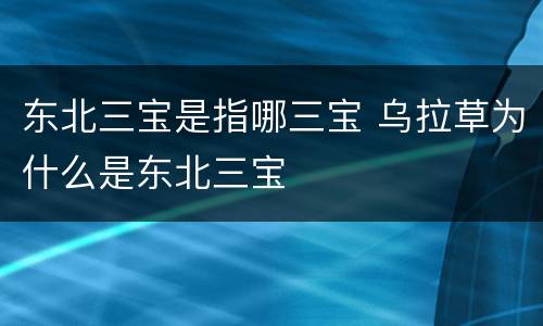 东北三宝是指哪三宝 乌拉草为什么是东北三宝