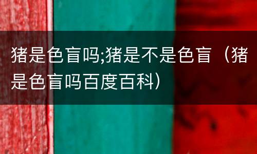 猪是色盲吗;猪是不是色盲（猪是色盲吗百度百科）