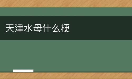 天津水母什么梗