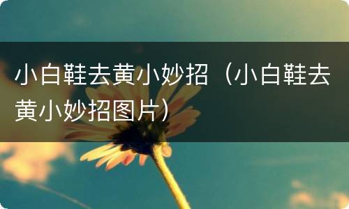 小白鞋去黄小妙招（小白鞋去黄小妙招图片）