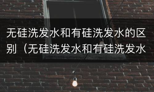 无硅洗发水和有硅洗发水的区别（无硅洗发水和有硅洗发水的区别是什么）