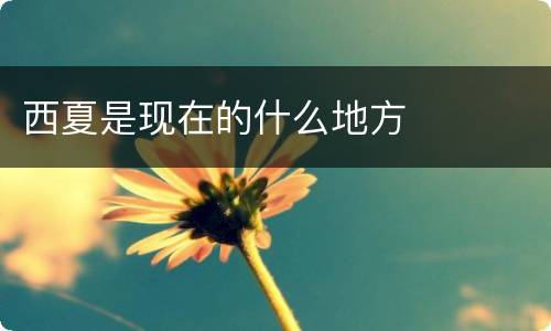 西夏是现在的什么地方