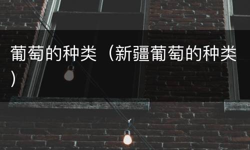 葡萄的种类（新疆葡萄的种类）