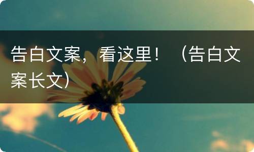 告白文案，看这里！（告白文案长文）