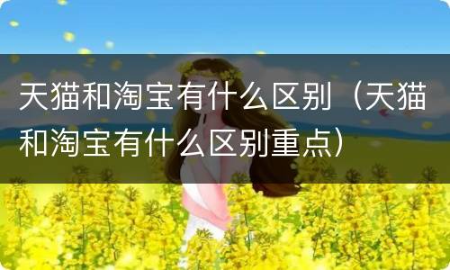 天猫和淘宝有什么区别（天猫和淘宝有什么区别重点）