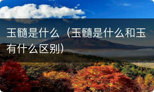 玉髓是什么（玉髓是什么和玉有什么区别）