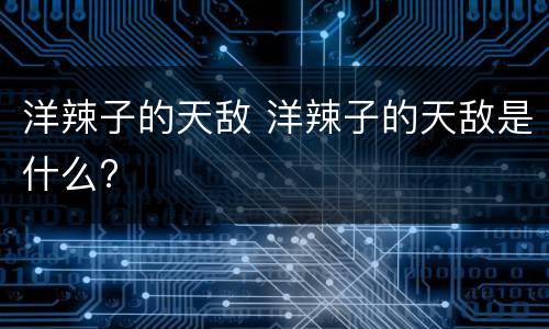洋辣子的天敌 洋辣子的天敌是什么?
