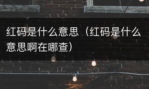 红码是什么意思（红码是什么意思啊在哪查）