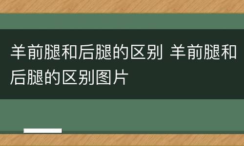羊前腿和后腿的区别 羊前腿和后腿的区别图片