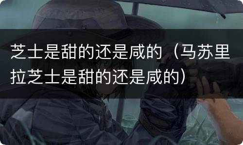芝士是甜的还是咸的（马苏里拉芝士是甜的还是咸的）