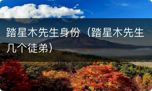 踏星木先生身份（踏星木先生几个徒弟）