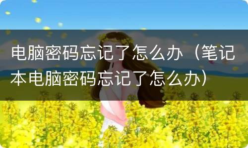 电脑密码忘记了怎么办（笔记本电脑密码忘记了怎么办）